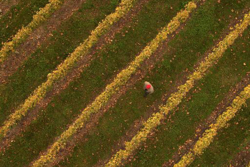 Landscape image from the air