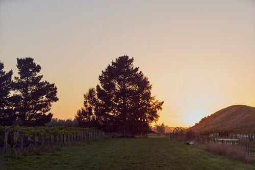 Hastings Still Image