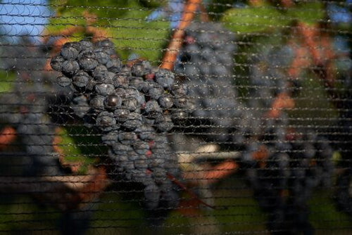 Hastings Still Image